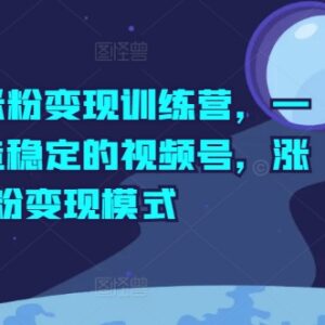 视频号涨粉变现训练营 从内容制作到私域变现全流程教学-雨叶虚拟资源网