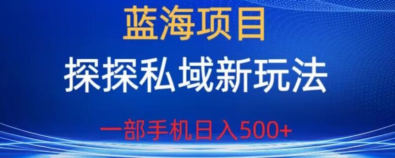 探探私域蓝海项目实操玩法拆解 单手机操作轻松实现日入500+