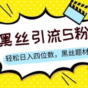 黑丝题材结合情感话术S粉变现方法 起号简单变现快收益可放大-雨叶虚拟资源网