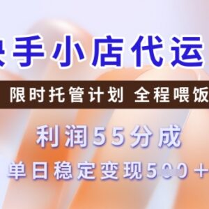 快手小店代运营3.0模式详解 零门槛合作收益五五分成玩法揭秘-雨叶虚拟资源网