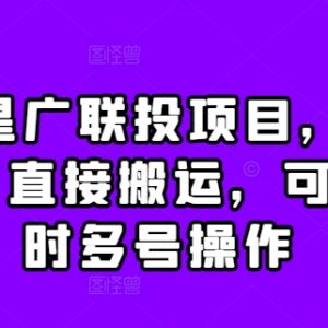 2024抖音星广联投项目操作指南 单账号可获千元激励收益-雨叶虚拟资源网
