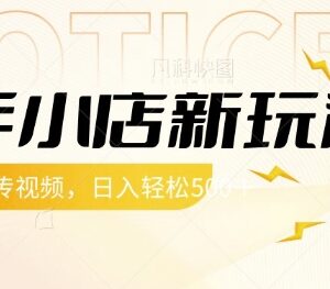 快手小店无复杂操作新玩法 仅需上传视频即可轻松赚带货佣金-雨叶虚拟资源网