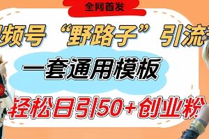视频号评论区截流实操教程 单号单日引流50+精准创业粉-雨叶虚拟资源网