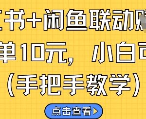 小红书闲鱼联动接单挣钱攻略 零基础小白可快速上手操作-雨叶虚拟资源网