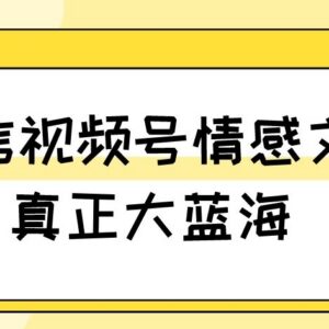 视频号情感文案号蓝海项目玩法 新手易上手附教程及素材-雨叶虚拟资源网
