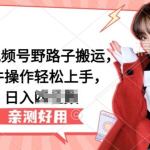 2024年5月视频号野路子搬运玩法 软件易操作可日入三位数-雨叶虚拟资源网