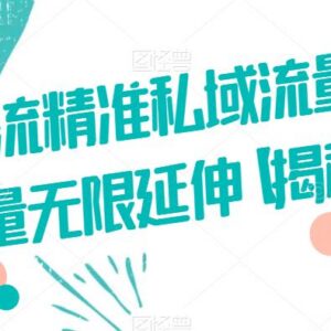 闲鱼引流精准私域流量方法 全行业适用可实现流量无限延伸-雨叶虚拟资源网