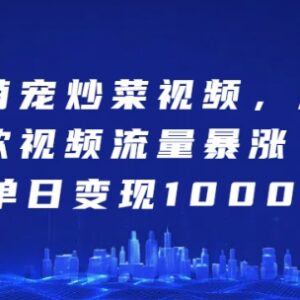 AI制作萌宠炒菜爆款视频教程 流量高涨粉快单日可变现上千元-雨叶虚拟资源网