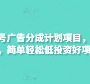 2025最新视频号广告分成项目 可矩阵放大低投入变现玩法-雨叶虚拟资源网