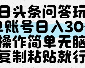 今日头条冷门问答赚钱玩法 零门槛复制粘贴单账号日入30+-雨叶虚拟资源网