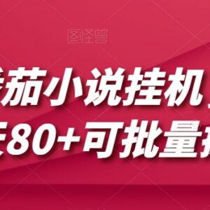番茄小说挂机拉新项目拆解 单机日入80可批量操作玩法揭秘-雨叶虚拟资源网