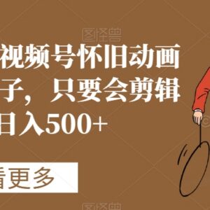 视频号怀旧动画搭配搞笑段子蓝海项目 剪辑上手变现全教程-雨叶虚拟资源网