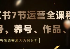 7节小红书运营实战全教程 结合情感赛道打通运营全流程-雨叶虚拟资源网
