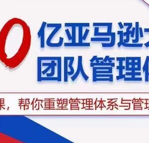 30亿级亚马逊大卖团队管理体系 可落地招聘绩效激励实操技巧-雨叶虚拟资源网