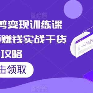 短视频混剪变现训练课程 账号运营涨粉变现全流程实战攻略-雨叶虚拟资源网