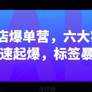 抖音小店爆单实战教程 六大实战篇7天起爆标签玩法实操指南-雨叶虚拟资源网