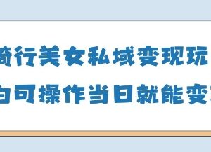 AI骑行美女私域变现玩法拆解 小白可操作最快当日可变现-雨叶虚拟资源网