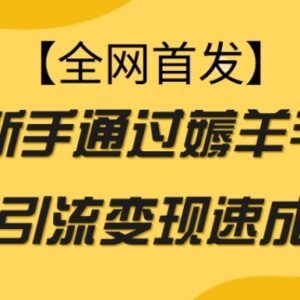 新手可做的零门槛薅羊毛项目 引流变现速成玩法实操指南-雨叶虚拟资源网