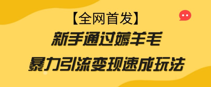 新手可做的零门槛薅羊毛项目 引流变现速成玩法实操指南
