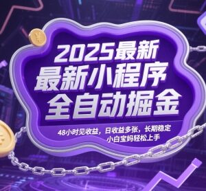 2025最新微信小程序全自动掘金项目 小白宝妈易上手收益长期稳定-雨叶虚拟资源网