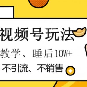 2024无需销售引流推广的视频号赚钱玩法 零基础小白可上手-雨叶虚拟资源网