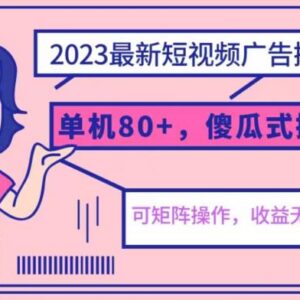 2023短视频广告撸金最新玩法 亲测单机收益80+可矩阵小白易上手-雨叶虚拟资源网