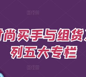 《时尚买手与组货》五大专栏 覆盖OTB预算数据分析全流程技能-雨叶虚拟资源网