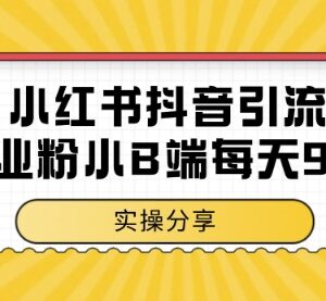 小红书抖音创业粉小B端粉引流 实测日引99+低门槛实操玩法-雨叶虚拟资源网