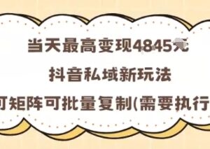 抖音私域AI短视频变现新玩法 可批量矩阵操作单日最高赚千元-雨叶虚拟资源网