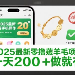 2025最新无门槛手机零撸薅羊毛项目 20秒1单单日收益可达200+-雨叶虚拟资源网