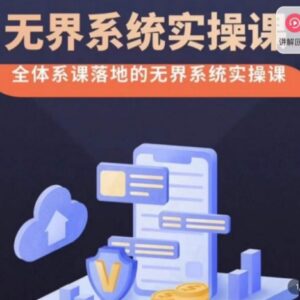 老衲无界系统实操课 改版后付费引流出价高投产玩法全解析-雨叶虚拟资源网