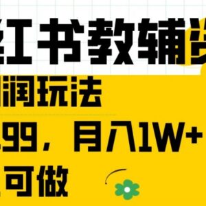 小红书教辅资料高利润玩法拆解 新手可做月入过万实操教程-雨叶虚拟资源网