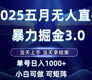 2025年5月无人直播掘金3.0玩法 小白可做单号单日收益超千元-雨叶虚拟资源网