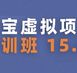 2025版淘宝虚拟项目特训班15.0 新手兼职可操作实现稳定收益-雨叶虚拟资源网