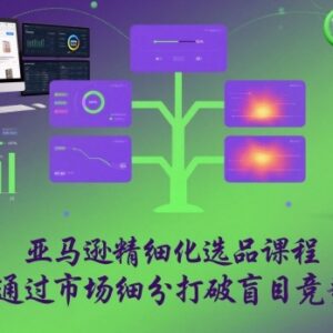 亚马逊精细化选品系统课程 细分市场挖掘蓝海打破盲目竞争-雨叶虚拟资源网