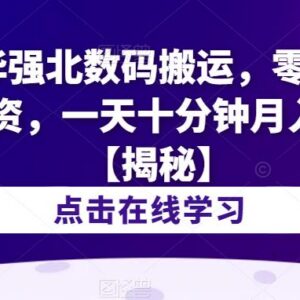 华强北冷门数码搬运项目解析 零投资低耗时新手月入过万攻略-雨叶虚拟资源网