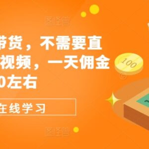2024视频号橱窗带货新玩法 无需直播拍视频日均佣金可达300元-雨叶虚拟资源网
