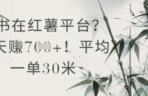 小红书抄书赚钱项目怎么操作 单均30元完整操作流程拆解-雨叶虚拟资源网