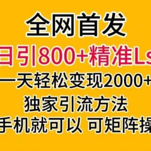 美女短视频引流实操教程 多账号矩阵运营多渠道变现攻略-雨叶虚拟资源网