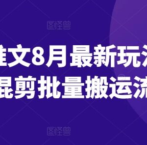 2024年8月小说推文最新玩法 故事混剪批量搬运操作流程-雨叶虚拟资源网