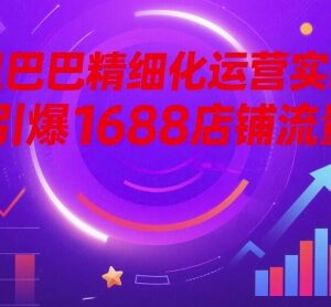 1688店铺精细化运营实战课 全链路拆解流量引爆实操技巧-雨叶虚拟资源网