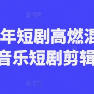 2024短剧高燃混剪实操教程 音乐短剧剪辑实用技巧分享-雨叶虚拟资源网