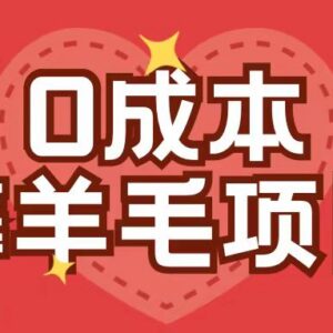 0成本手机薅羊毛项目分享 无需投入单机操作1小时收益30+-雨叶虚拟资源网