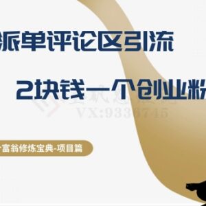 兼职派单评论区引流创业粉玩法 单个获客成本低至2元-雨叶虚拟资源网