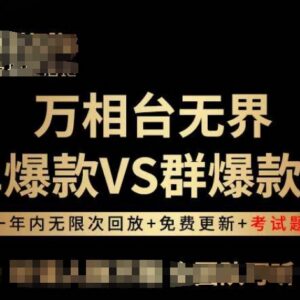 万相台无界单爆款与群爆款运营教程 全阶段实操玩法详解-雨叶虚拟资源网