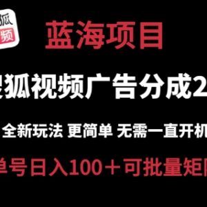 搜狐视频2.0云端挂机玩法解析 无需电脑成本低可矩阵操作日入百元-雨叶虚拟资源网