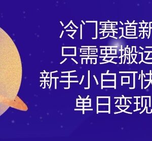 冷门搬运图片变现项目玩法 新手小白零门槛快速上手实操教程-雨叶虚拟资源网
