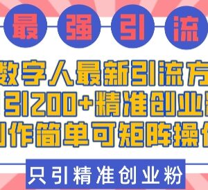 2024AI数字人引流创业粉实操方法 可矩阵操作日引200+精准粉-雨叶虚拟资源网