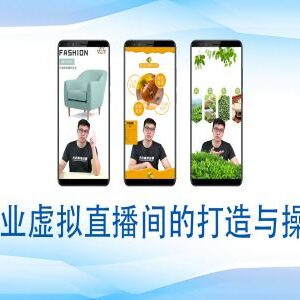 个人及专业虚拟直播间搭建与操作全流程实操教程-雨叶虚拟资源网
