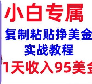 0门槛复制粘贴赚美金实操教程 新手可做的海外副业入门方法-雨叶虚拟资源网